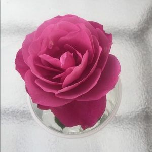 Meet your Posher, Jen